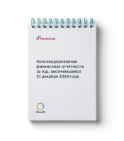 Аудиторское заключение
                                        МСФО за 2024